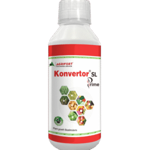 Konvertor Prime SL